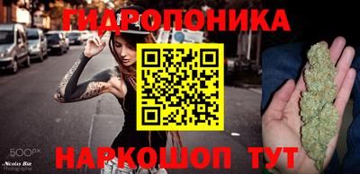 бошки Будённовск