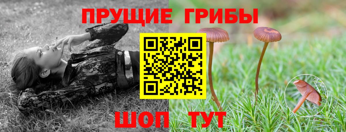 Армавир  Галлюциногенные грибы MAGIC MUSHROOMS  Вход с VPN 